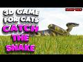 3D game for cats | CATCH THE SNAKE (front view) | 4K, 60 fps, stereo sound