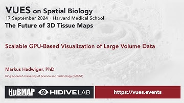 VUES on Spatial Biology - September 2024, Markus Hadwiger, PhD