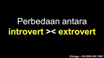 Perbedaan introvert dan extrovert menurut Konsep STIFIn