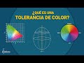 ¿Qué es una TOLERANCIA de COLOR?