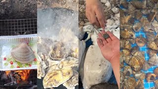 Tik tok aktivitas nelayan china berburu beragam hewan laut di sekitar pantai | part1