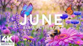 Springtime Splendor 4K 🌸 | Blooming Flowers, Butterflies & Gentle Bees in Relaxing Nature Scenery