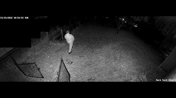 Reolink floodlight testing - Both floodlight and Duo 2 lights on