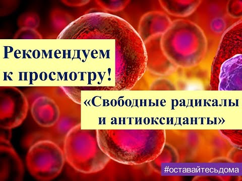 Рекомендуем к просмотру! Свободные радикалы и антиоксиданты.