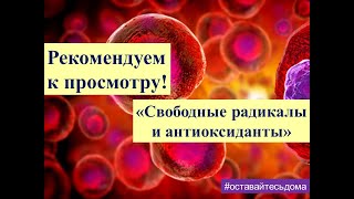 Рекомендуем к просмотру! Свободные радикалы и антиоксиданты.