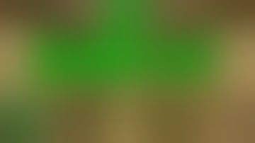 DIY Double Layer Scrog Nets