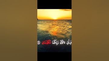 ✦ كُلّ من عليها فان ويبقى وجه ربك ذو الجلال والإكرام|فبأى آلاء ربكما تكذبان سورة الرحمن|ياسر الدوسرى