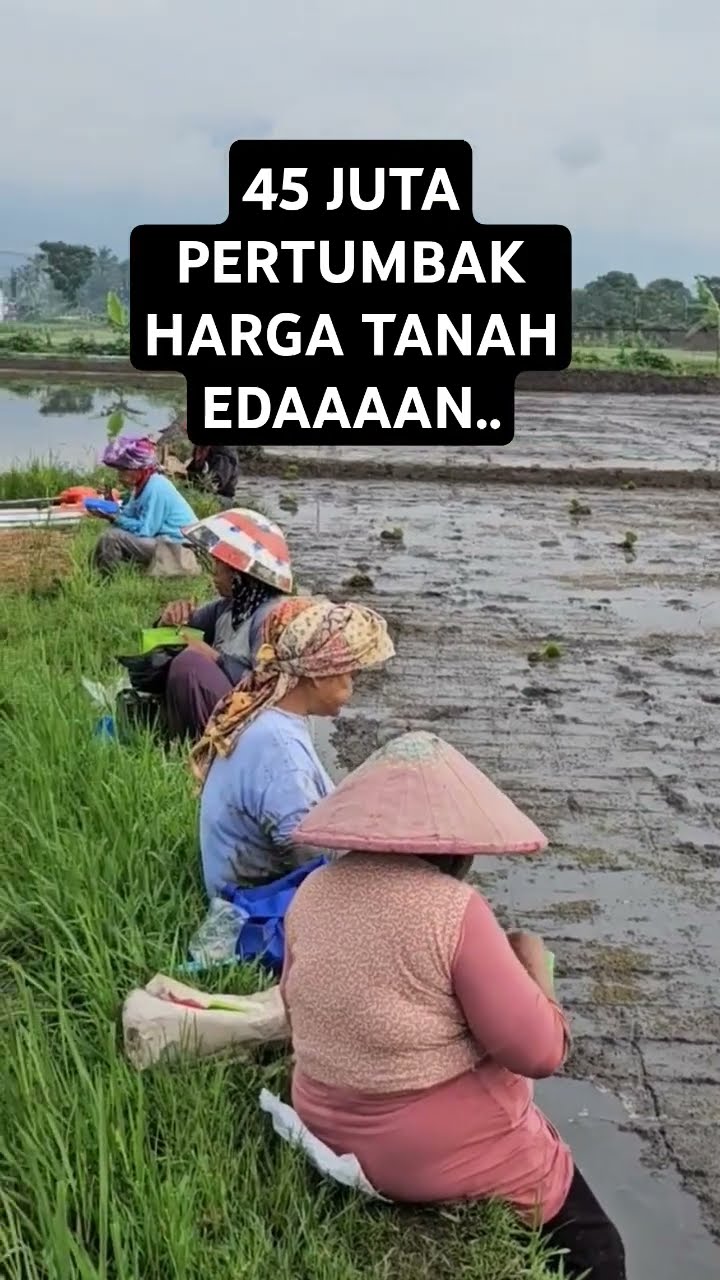 Ediyan...45 Juta Harga Tanah Pinggir Jalan
