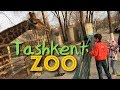 Ташкент зоопарк -  Alish #2. Узбекистан 2018