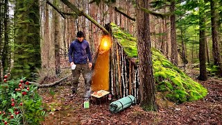 Building of a forest rain shelter | Bushcraft camp
