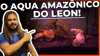 🔴AQUÁRIO AMAZÔNICO DE 96 LITROS DO INSCRITO LEON  |Mr. Betta|