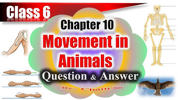 Class 6 Science Chapter 10 Question Answer | Movement in Animals Question Answer | Science Ahead |