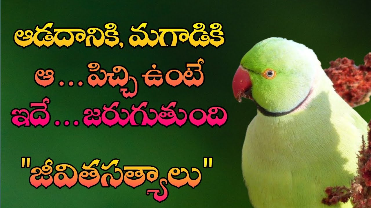జీవిత సత్యాలు #321 |మంచి మాటలు|Inspirational quotes|Motivational quotes|సూక్తులు|Telugu quotes