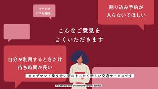 九州大学 Aimo 利用方法