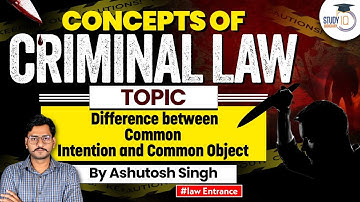 Difference Between Common Intention and Common Object | Concepts under Criminal Law