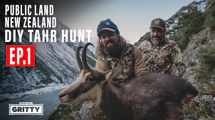 DIY TAHR HUNT PUBLIC LAND NEW ZEALAND