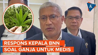 Soal Wacana Ganja untuk Medis, Ini Kata Kepala BNN