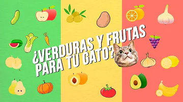 ¿Pueden los gatos comer guacamole?