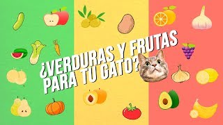 ¡No le des estas frutas y verduras a tu gato!  | ¿El plátano da diarrea?