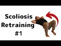 How to “Fix” Scoliosis Naturally Exercise #1 | Feldenkrais Style