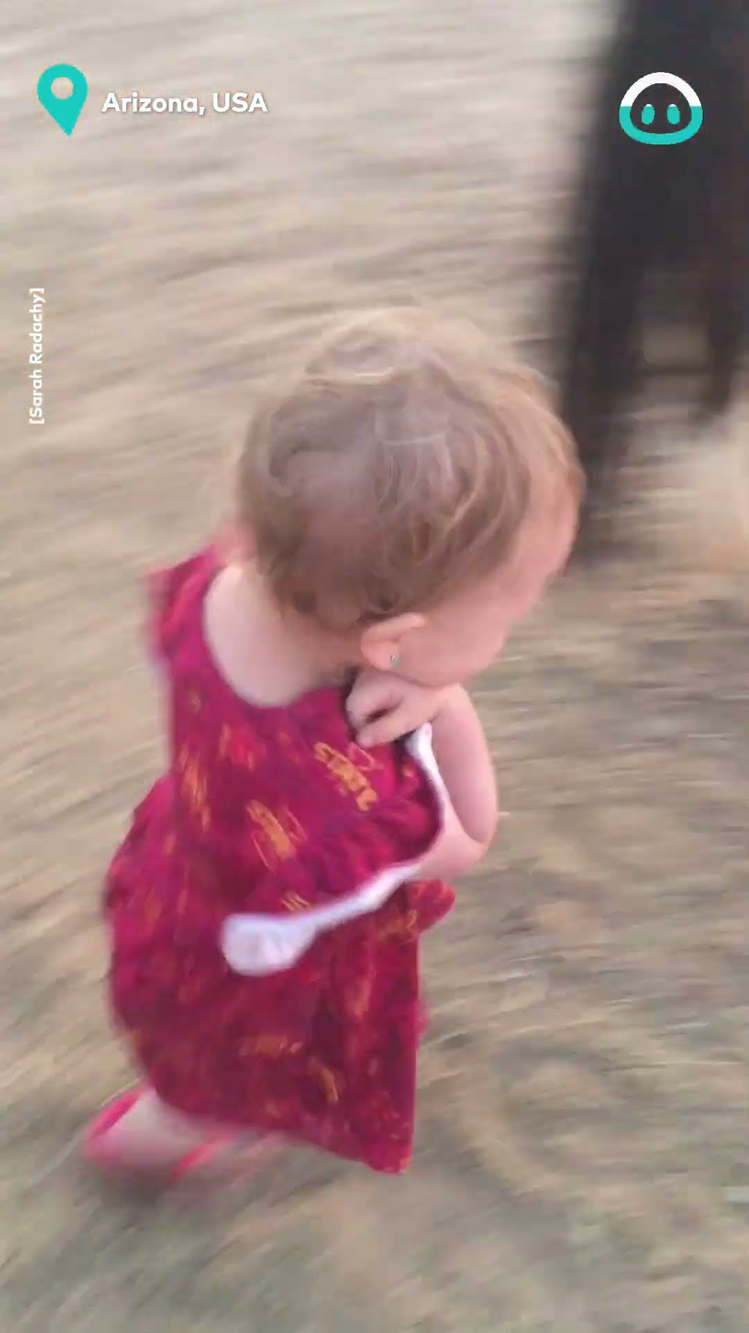 Kiddo Gives Good Night Kisses to Her Horses || ViralHog