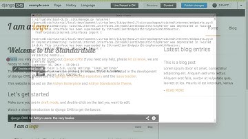 Aldryn: creating a custom Addon