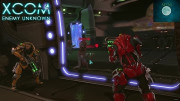 XCOM EU: Battling Bigheads