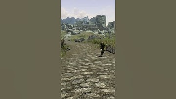 Skyrim Thief Attempts to Rob Endgame Dragonborn | Elder Scrolls Shorts