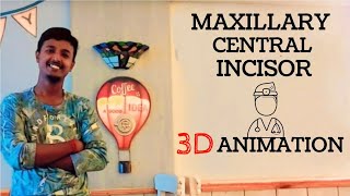 Part 2: Dental Anatomy | Maxillary Central Incisor | Learn dentistry with 3D animations 🦷👈