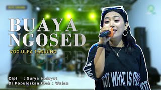 Download Lagu BUAYA NGOSED (Wulan) - VOC.ULFA TANJUNG  || LIVE.STUDIO SESSION MP3 Download Lagu BUAYA NGOSED (Wulan) - VOC.ULFA TANJUNG  || LIVE.STUDIO SESSION MP3