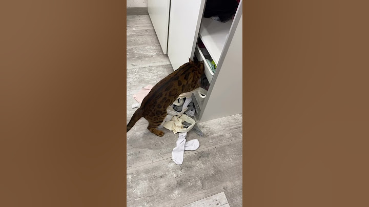 Когда не успел похудеть к лету и пытаешься найти хоть что-то в своём гардеробе 😂