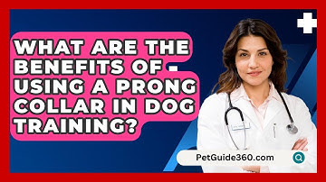 What Are the Benefits of Using a Prong Collar in Dog Training? - PetGuide360.com
