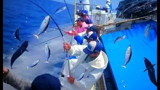 Amazing Fast Tuna Fishing Skill - Lot Of Live Fish Catching At Sea.