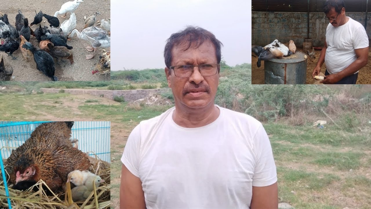 Mere Aur Mere Pets Ki Taraf Se Happy SANKRANTI To All 🥰