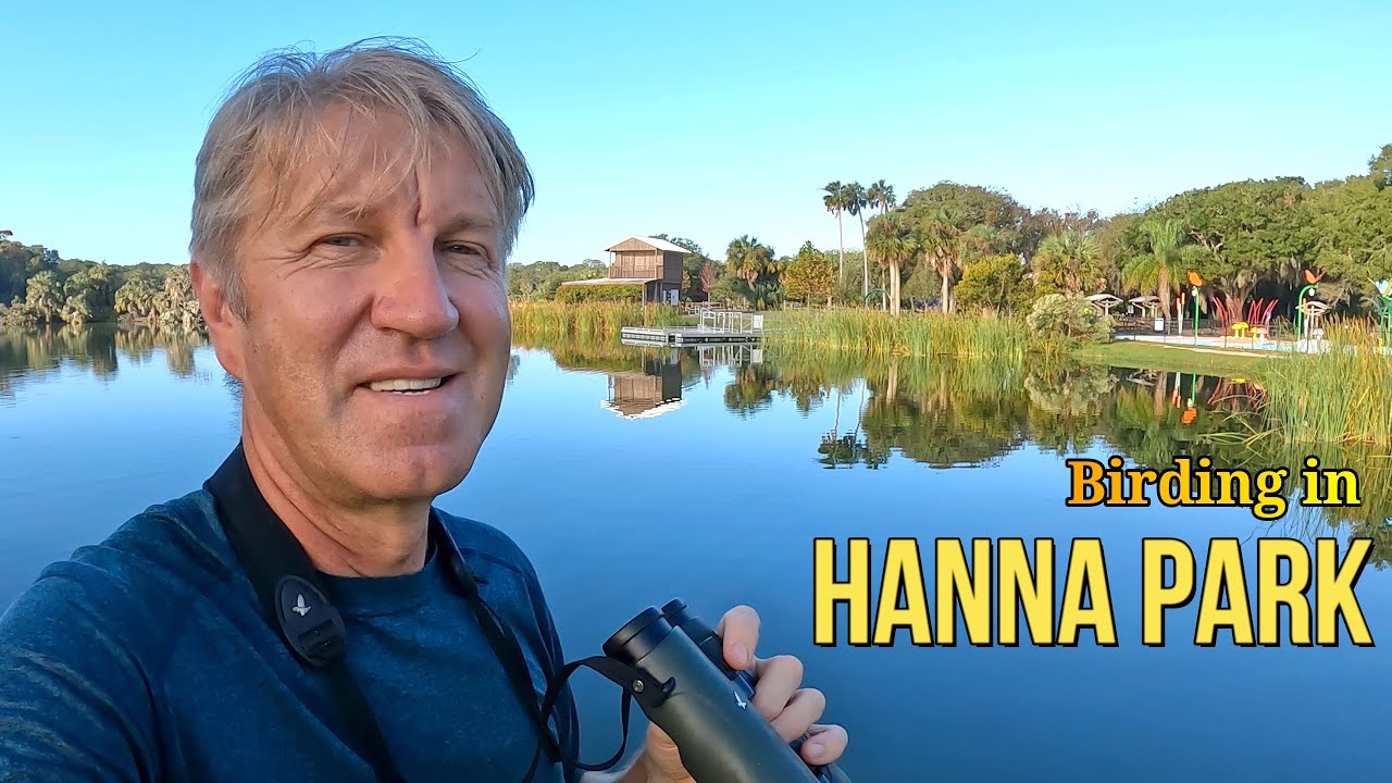 Birding in HANNA PARK Lots of Birds Up Close YouTube