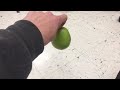 Pear flipping