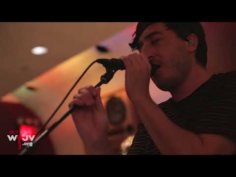 Grizzly Bear -