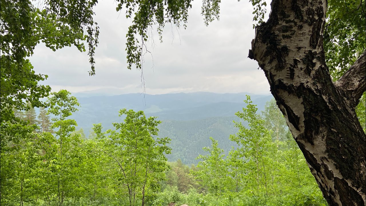 санаторий белокуриха город белокуриха. белокуриха санаторий алтай. фирменный знак ао курорт белокуриха. санаторий алтай вест алтайский край. белокуриха канал.