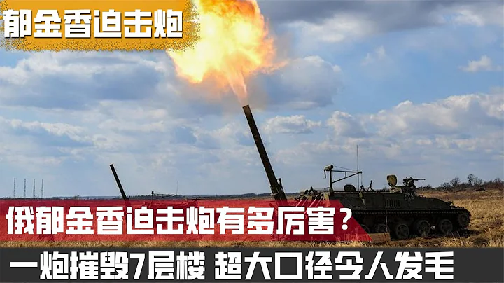 俄罗斯郁金香迫击炮有多厉害？一炮摧毁7层楼，超大口径远程射击 - 天天要闻