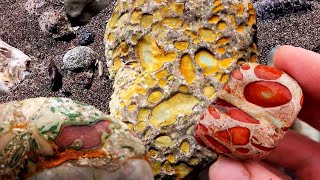 Exploring The Vibrant River Rocks Of Bear Country by Montana Rock Mom 34,402 views 1 year ago 21 minutes