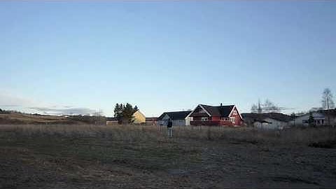 Assassin Combat Wing