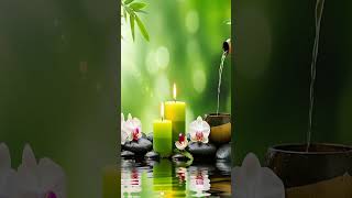 Zen Bamboo Waterfall | Relax, Unwind &amp; Refresh | Soothing Sounds #relax #naturetranquility #birdsong
