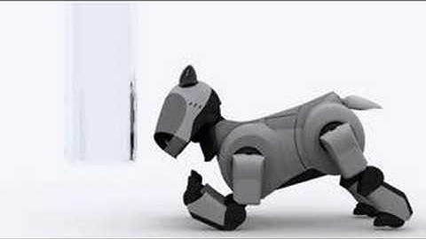 Aibo