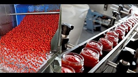How Ketchup is Actually Made