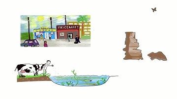 WUR Knowledge Clip: Tipping Points