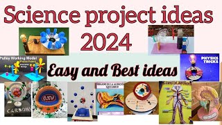 Science Best project ideas |science projects |#science #scienceproject #viralvideo