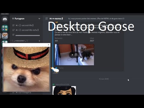 Vidéo: Est-ce que desktop goose me donnera un virus ?