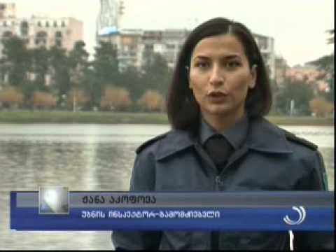 ძალადობის წინააღმდეგ საინფორმაციო ბუკლეტები დარიგდა