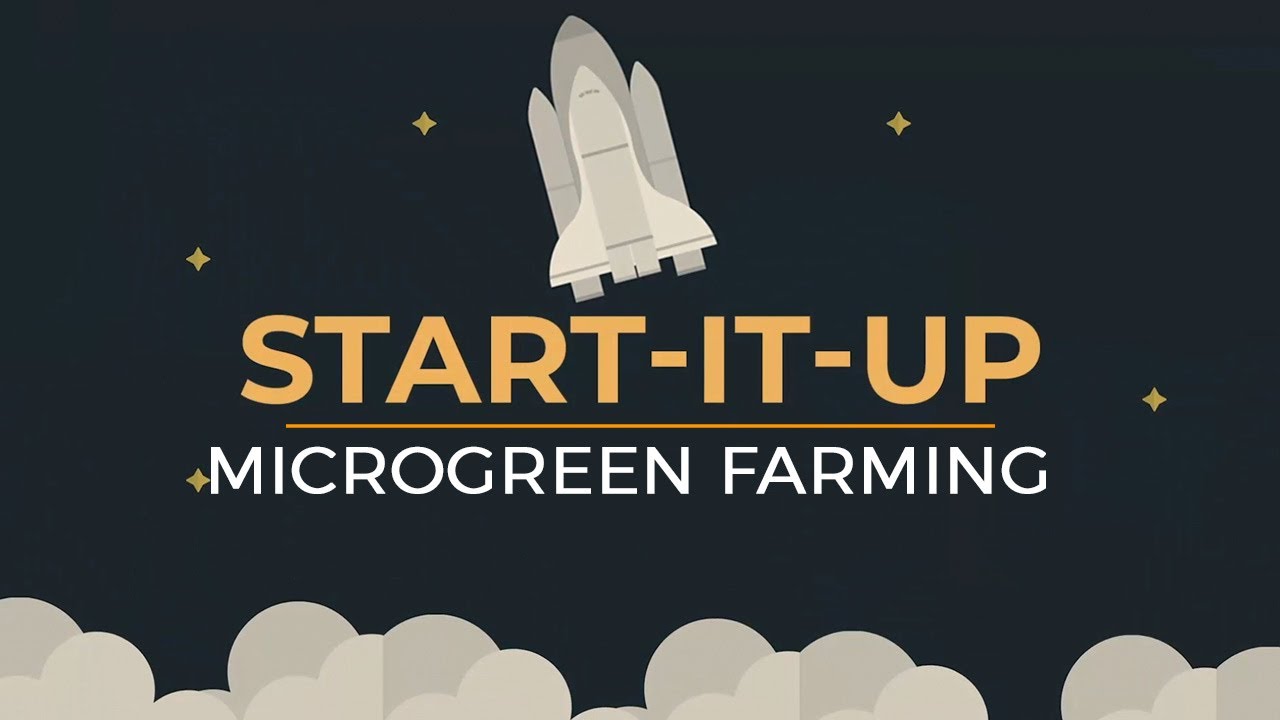 Start It Up – Microgreen Farming