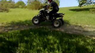 Bashan Catbrier 250 (china) - jump :-)